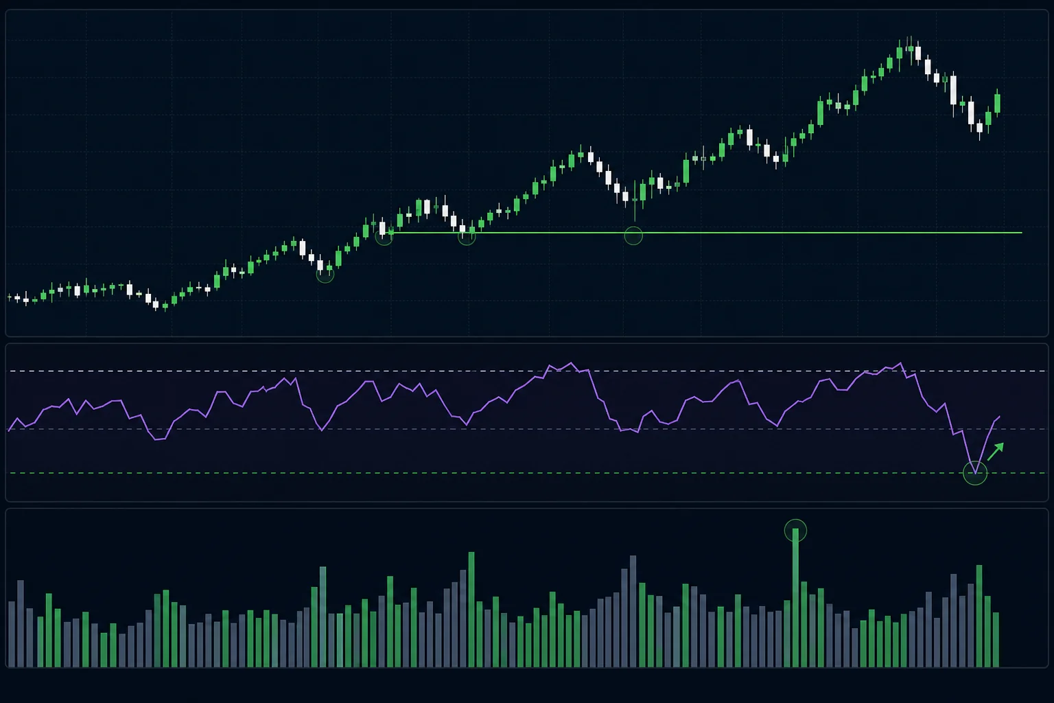 Layered daily chart showing uptrend structure, horizontal support level, and volume confirmation at the RSI oversold bounce point